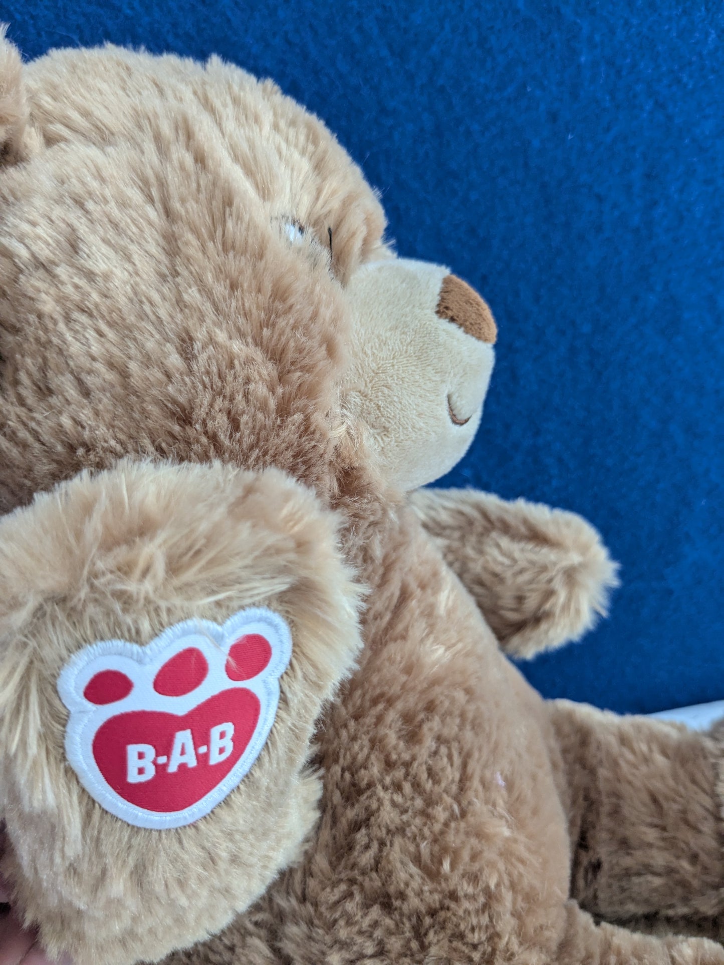 Build a Bear (BaB) 14" Bear