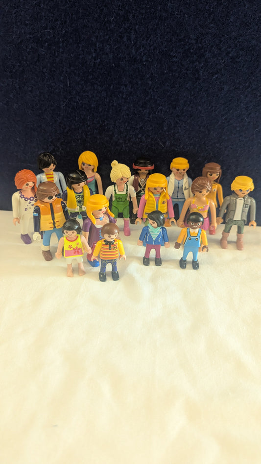 Playmobil Figure Bundle