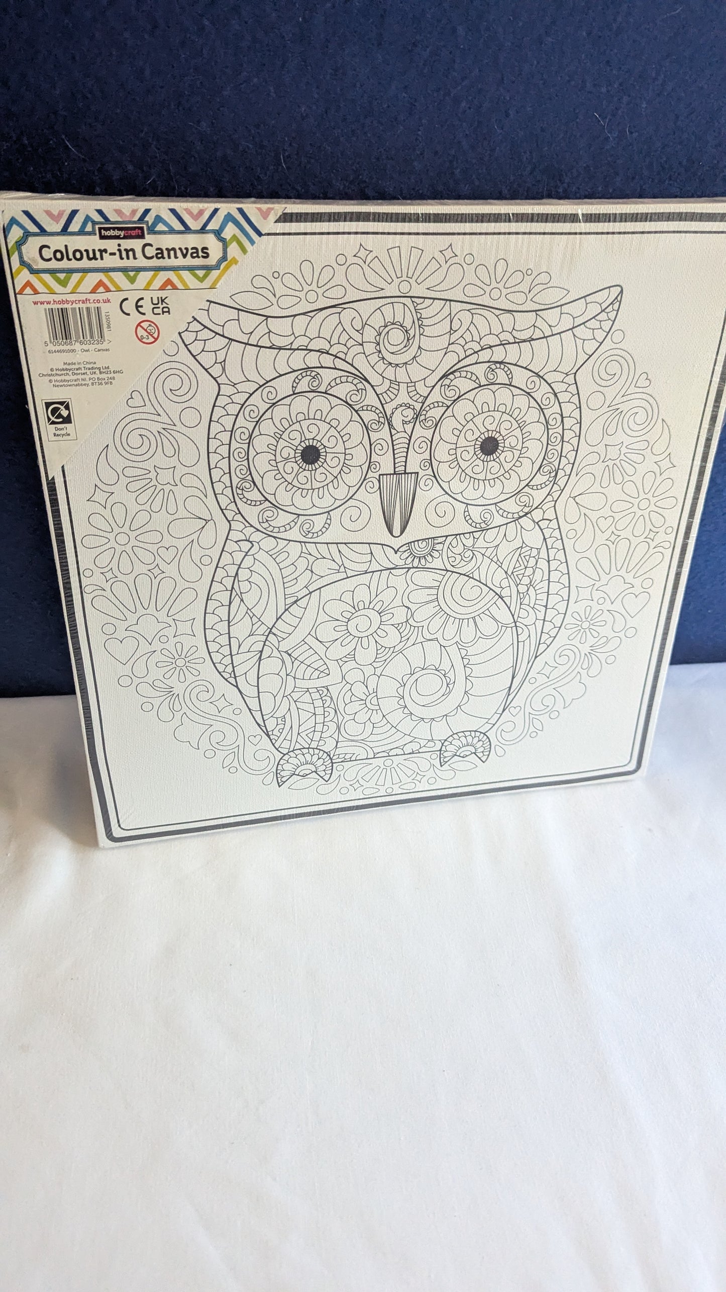Hobbycraft Owl ColourIin Canvas