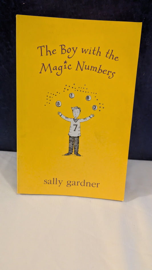 The Boy with the Magic Numbers - Sally Gardner