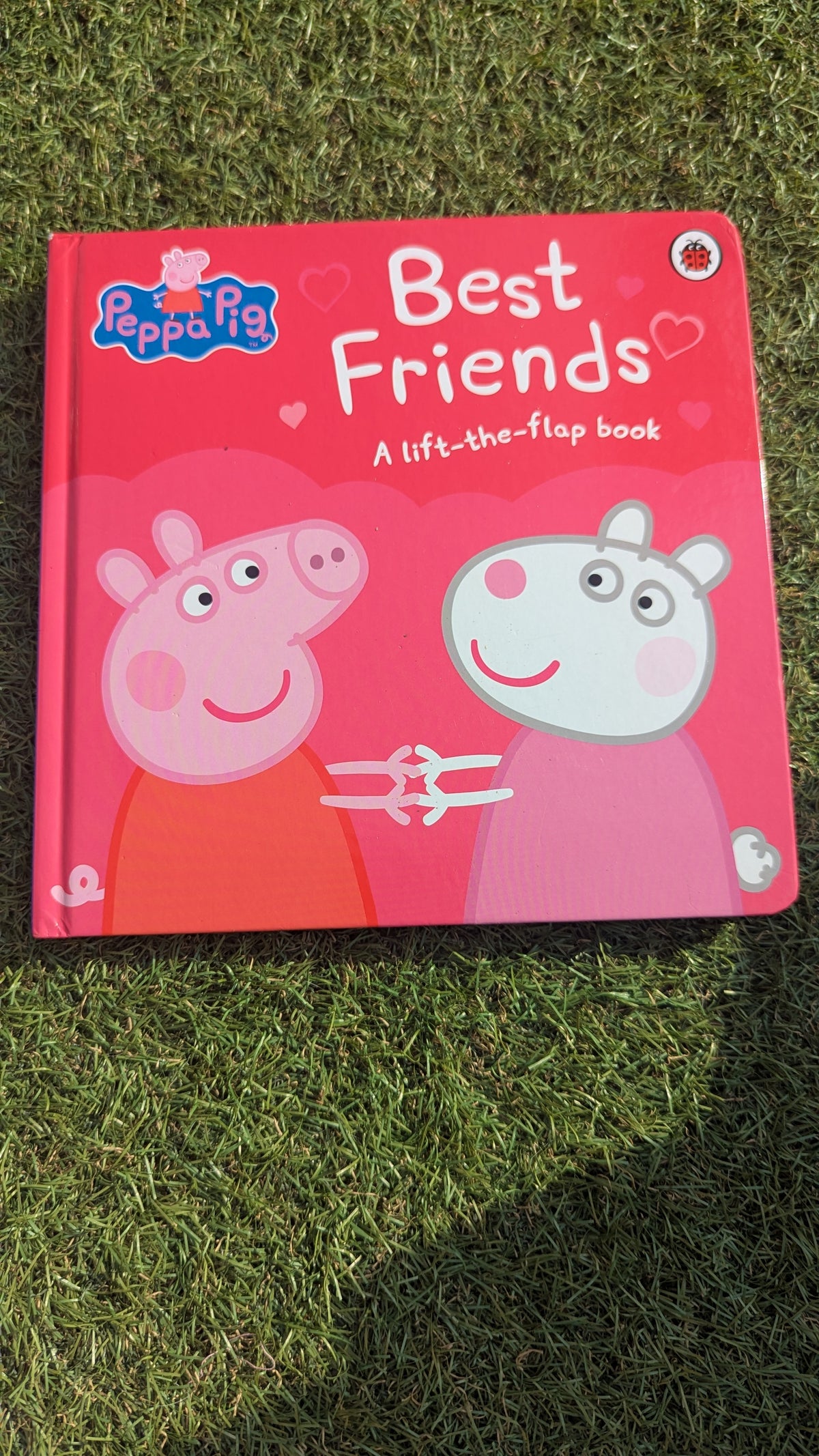 Peppa Pig Best Friends - A Lift the Flap Book
