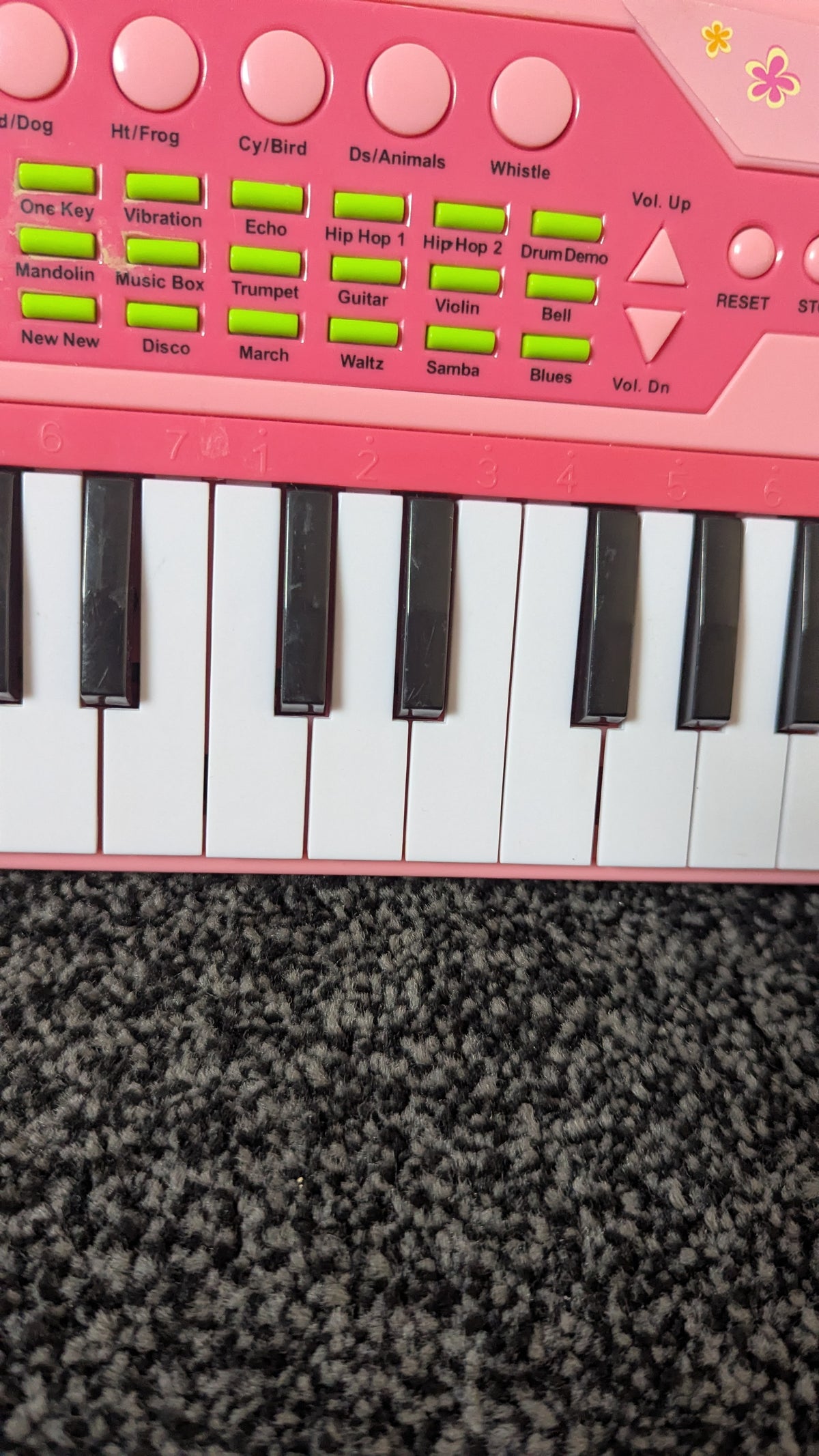 Starz Girls 37 Key Electronic Keyboard Pink